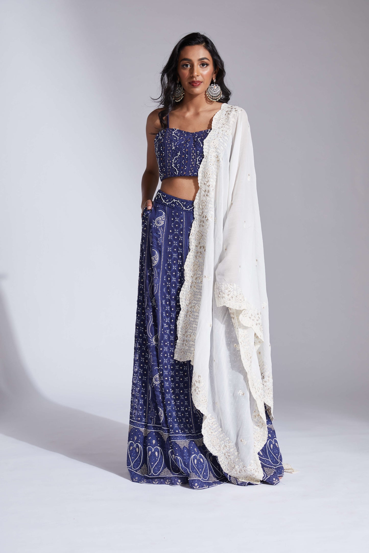 Lucknowi/chikankari blue lehenga with cutdana highlights and scallop dupatta